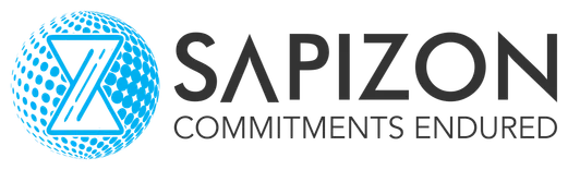 Software Testing Company In USA Sapizon Technologies
