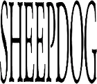 Sheepdog