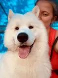 Good Dog Ranch & Spa - Dog Boarding & Grooming