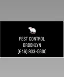 Pest Control Brooklyn