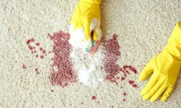 Carpet Cleaning South Yarra