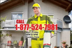 Charlotte pest control service