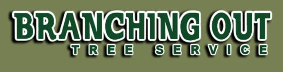 Tree Service & Removal Roslyn