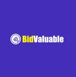 Bidvaluable auction