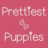 Prettiest Puppies