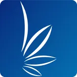 Pennsylvania onlinemedicalcard