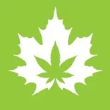 The House of Cannabis