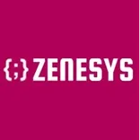ZENESYS TECHNOSYS
