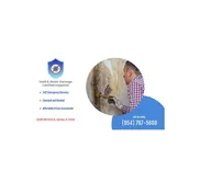Mold & Water Damage Certified Inspector