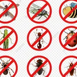 Pest Control Langwarrin