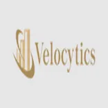 Velocytics LLC
