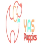 Yas Puppies