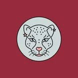  Red Cheetah Design
