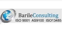 Barile Consulting Services, LLC