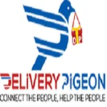 Delivery Pigeon