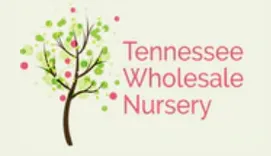 Tennessee Wholesale Nursery LLC