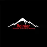 Roof and Window Cleaning in Renton