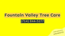 Fountain Valley Tree Care