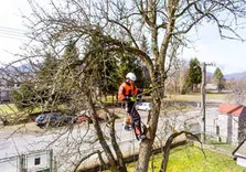St. Charles Tree Service