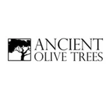 Ancient Olive Trees
