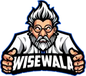 WiseWala Web Design