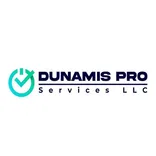 Dunamis Pro Services Carpet Cleaning
