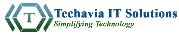 Techavia IT Solutions