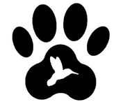 Hummingbird Hill Farm, LLC Goldendoodles