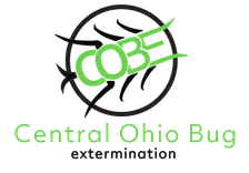 Bug Extermination