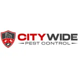 City Wide Wasp Removal Sydney