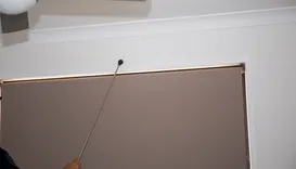 Cowell Beach Termite Removal Expert