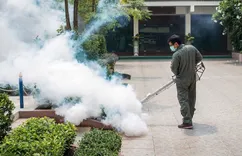 Aquifer Termite Removal Experts