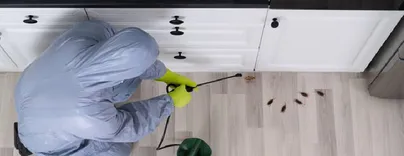 Frontline Pest Control Hobart