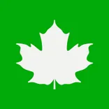 Maple 3