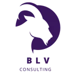 BLV Consulting Group