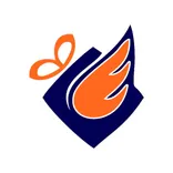 Havfly