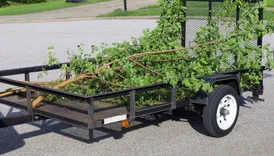 Four Corners Tree Service