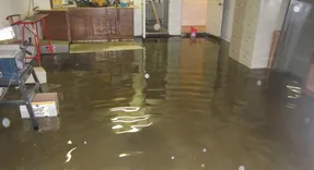 Flood Damage Restoration Ipswich