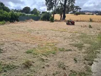 Growth Landscaping & Gardening