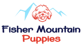 Fisher Mountain Puppies