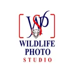 Wildlife Photo Studio