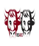 Risario UK Ltd