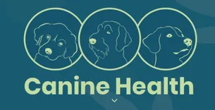 Canine Health