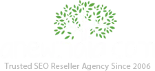 A New India SEO Reseller Agency