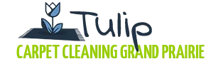 Tulip Carpet Cleaning Grand Prairie