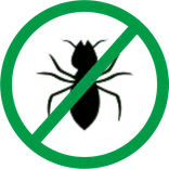 Termite Control Hobart