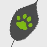 Ecology by Design