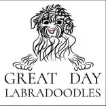 Great Day Labradoodles