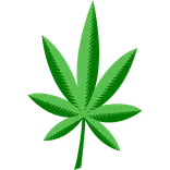 BudChampion