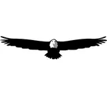 Olympic Tactical & Investigations LLC